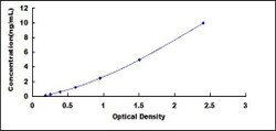 Biomatik Corporation Rat Serine/threonine-protein kinase mTOR (mTOR) ELISA