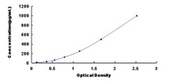Biomatik Corporation Rat Fibroblast Growth Factor 13 (FGF13) ELISA Kit,