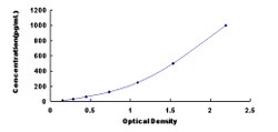 Biomatik Corporation Rat Fibroblast Growth Factor 18 (FGF18) ELISA Kit,