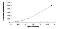 Biomatik Corporation Rat Fibroblast Growth Factor 3 (FGF3) ELISA Kit, Quantity: