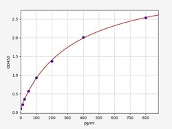 Biomatik Corporation Rat Pth (PaRathyroid hormone) ELISA Kit, Quantity: