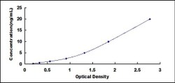 Biomatik Corporation Mouse Calcium Channel, Voltage Dependent, R-Type,