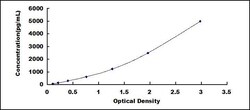 Biomatik Corporation Human ADP Ribosylation Factor Like Protein 15 (ARL15)