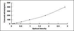 Biomatik Corporation Human Ceruloplasmin (CP) Wide-range ELISA Kit, Quantity: