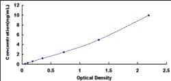 Biomatik Corporation Mouse Breast Cancer Susceptibility Protein 2 (BRCA2)
