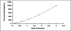 Biomatik Corporation Human Vascular Endothelial Growth Factor Receptor