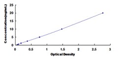 Biomatik Corporation Human Folliculin (FLCN) ELISA Kit, Quantity: Each