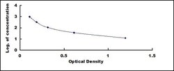 Biomatik Corporation Rabbit Parathyroid Hormone (PTH) ELISA Kit, Quantity: