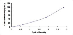 Biomatik Corporation Human Phospholipase D2 (PLD2) ELISA Kit, Quantity: