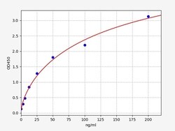 Biomatik Corporation Rat C3 (Complement Component 3) ELISA Kit, Quantity: