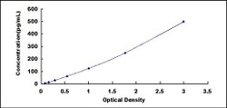 Biomatik Corporation Guinea pig Interleukin 12B (IL12B) ELISA Kit, Quantity: