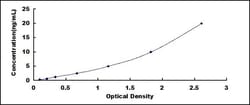 Biomatik Corporation Human Proliferation Associated Protein 2G4 (PA2G4)