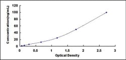 Biomatik Corporation Human Fucosyltransferase 6 (FUT6) ELISA Kit, Quantity: