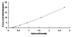 Biomatik Corporation Rat Uroporphyrinogen Decarboxylase (UROD) ELISA Kit,
