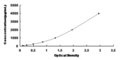 Biomatik Corporation Rat Myosin Heavy Chain 8, Skeletal Muscle, Perinatal