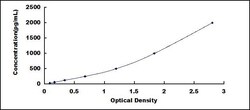 Biomatik Corporation Rabbit Glutamate Receptor, Ionotropic, AMPA 1 (GRIA1)