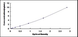 Biomatik Corporation Mouse Family With Sequence Similarity 135, Member