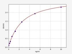 Biomatik Corporation Human P62/SQSTM1 (Sequestosome-1) ELISA Kit, Quantity: