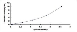 Biomatik Corporation Human Dopamine Receptor D1 (DRD1) ELISA Kit, Quantity: