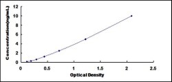 Biomatik Corporation Human Cholinergic Receptor, Muscarinic 2 (CHRM2) ELISA