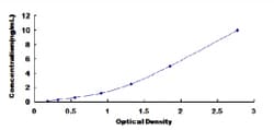 Biomatik Corporation Pig Osteoprotegerin (OPG) ELISA Kit, Quantity: Each
