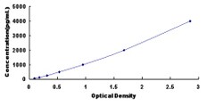 Biomatik Corporation Human Thyroid Hormone Receptor Alpha (THRa) ELISA