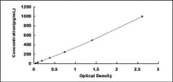 Biomatik Corporation Rat Interleukin 24 (IL24) ELISA Kit, Quantity: Each
