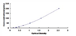 Biomatik Corporation Rat Glycoprotein 130 (gp130) ELISA Kit, Quantity: