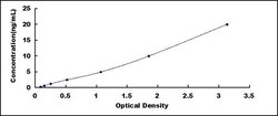 Biomatik Corporation Mouse Fucosyltransferase 8 (FUT8) ELISA Kit, Quantity: