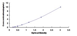 Biomatik Corporation Mouse Checkpoint Kinase 1 (CHEK1) ELISA Kit, Quantity: