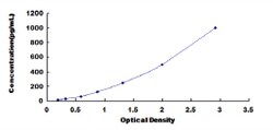 Biomatik Corporation Bovine Interleukin 16 (IL16) ELISA Kit, Quantity: