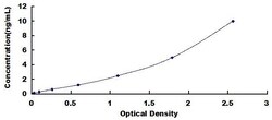 Biomatik Corporation Human Breakpoint Cluster Region (BCR) ELISA Kit, Quantity: