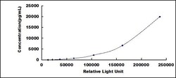 Biomatik Corporation Human Estrogen Receptor Beta (ERb) CLIA Kit, Quantity: