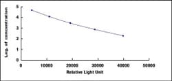 Biomatik Corporation Rat Luteinizing Hormone (LH) CLIA Kit, Quantity: Each