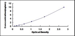 Biomatik Corporation Human USP6 N-Terminal Like Protein (USP6NL) ELISA