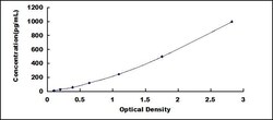 Biomatik Corporation Human Natural Cytotoxicity Triggering Receptor 3 (NCR3)