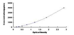 Biomatik Corporation Mouse Cadherin, Heart (CDHH) ELISA Kit, Quantity: