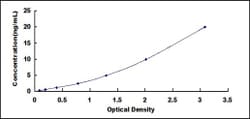 Biomatik Corporation Human Kinesin Family, Member 18A (KIF18A) ELISA Kit,
