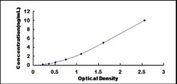 Biomatik Corporation Mouse Doublecortin (DCX) ELISA Kit, Quantity: Each