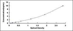 Biomatik Corporation Human S-Phase Kinase Associated Protein 2 (SKP2) ELISA