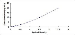 Biomatik Corporation Human Dipeptidyl Peptidase 10 (DPP10) ELISA Kit, Quantity: