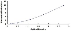 Biomatik Corporation Human Xeroderma Pigmentosum, Complementation Group