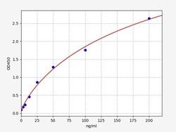 Biomatik Corporation Mouse C3 (Complement C3) ELISA Kit, Quantity: Each