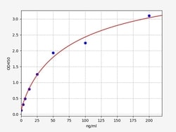 Biomatik Corporation Human GAA (Lysosomal alpha-glucosidase) ELISA Kit,