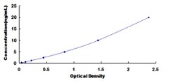 Biomatik Corporation Mouse Topoisomerase II (TOP2) ELISA Kit, Quantity: