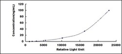 Biomatik Corporation Human Sulfatase 2 (SULF2) CLIA Kit, Quantity: Each