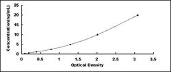 Biomatik Corporation Rabbit Pigment Epithelium Derived Factor (PEDF) ELISA