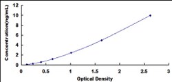 Biomatik Corporation Human Myopalladin (MYPN) ELISA Kit, Quantity: Each