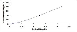 Biomatik Corporation Dog Apolipoprotein A1 (APOA1) ELISA Kit, Quantity: