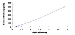 Biomatik Corporation Rat Interferon Alpha 13 (IFNa13) ELISA Kit, Quantity: